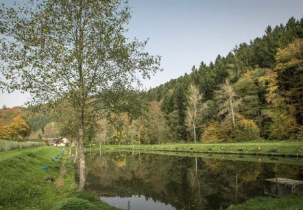 angelweiher in fliessem