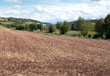 blick ins enztal