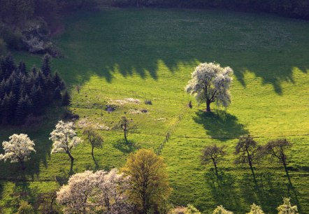 blick ins pruemtal