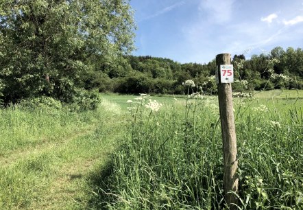 markierung der route 75 des naturpark suedeifel